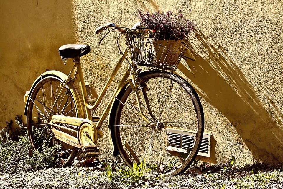 iBike casual street bike - women